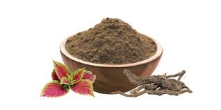 Coleus Extract
